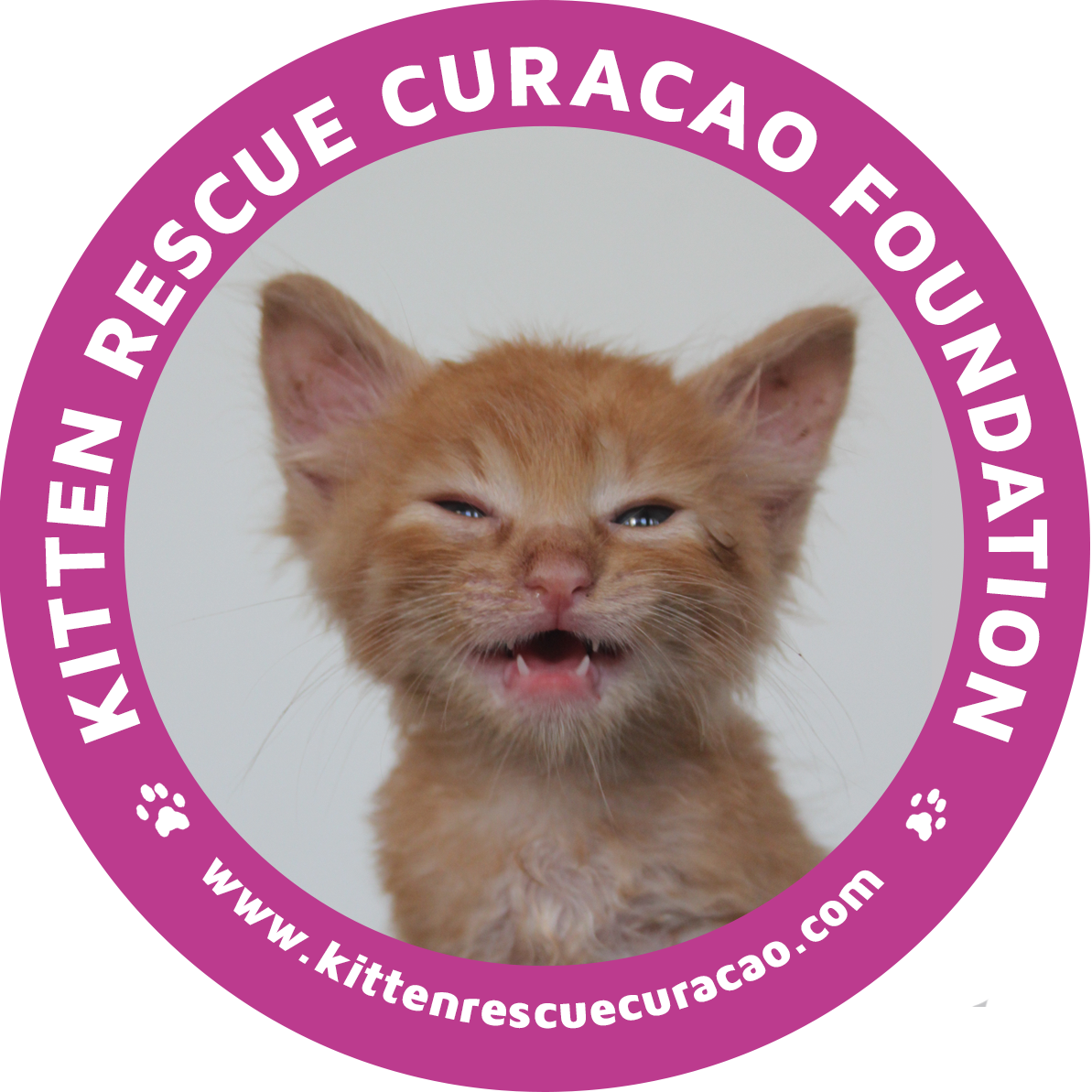 Stichting Kitten Rescue Curacao logo