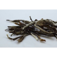 White Peony (Bai Mu Dan) from Peony Tea S.