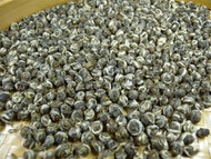 2010 Spring Premium Organic Jasmine Dragon Pearl- from JK Tea Shop