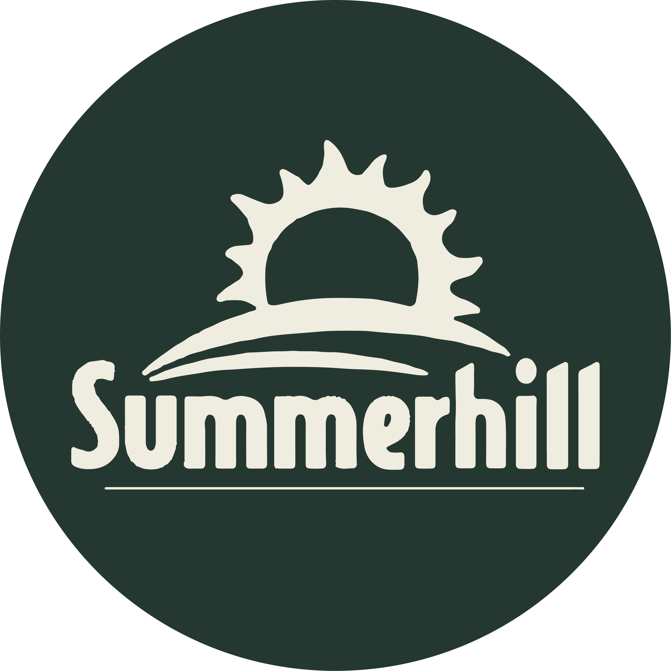 Summerhill Charitable Trust logo