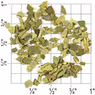 Green Yerba Maté from Upton Tea Imports