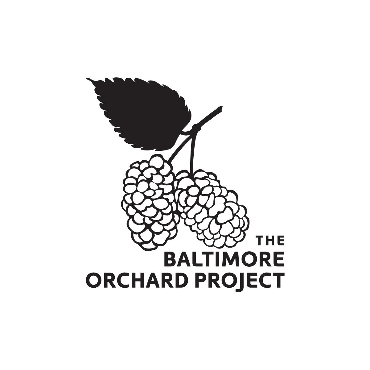 Baltimore Orchard Project logo