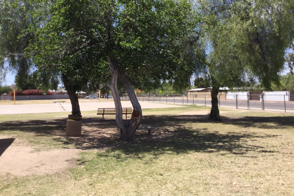 The Field and Playground