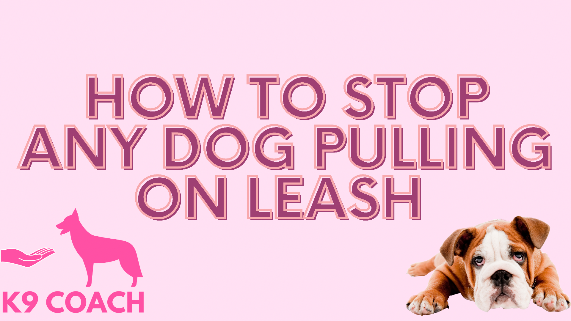 How To Stop Any Dog Pulling On Lead K9 Coach UK School