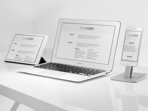 portfolio