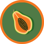 Kava Pawpaw from Handmade Tea