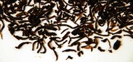 Assam from Shanti Tea