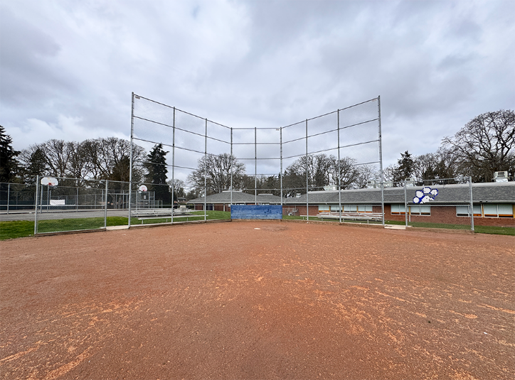 Baseball/Softball Field Grass