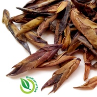 Wild Purple Bud Puer from Wild Tea Qi