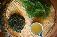 Jade Fir from Namasthé