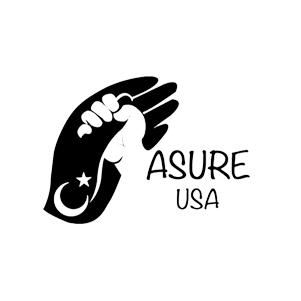 ASURE USA INC. logo