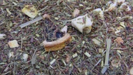 Lemon Mango Sherbet Green Rooibos from 52teas