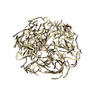 Silver Needle White Tea from TeaTreasure