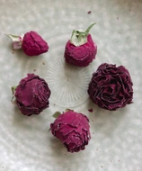 Organic Crimson Rose from Cultivate Tea