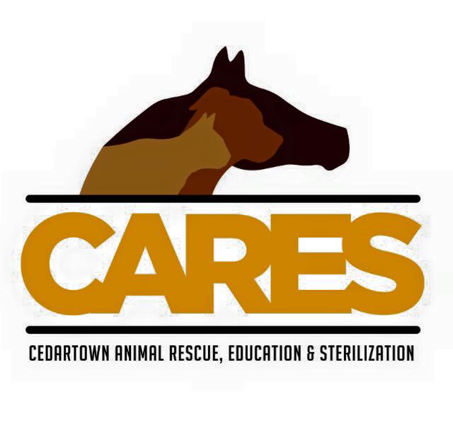 CARES logo