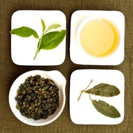 Dayuling High Mountain Oolong Tea, Lot # 102 from Taiwan Tea Crafts