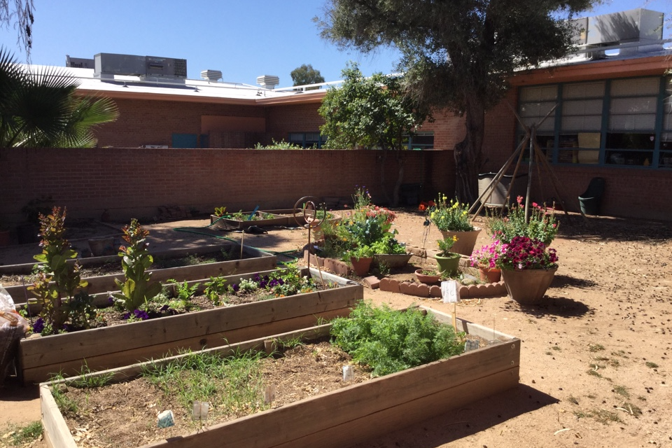 Peace Courtyard