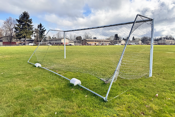 Athletic Field Grass
