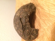 2012 nan Jian raw puer from TeaSource