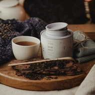 No. 504 Muse from Paper & Tea