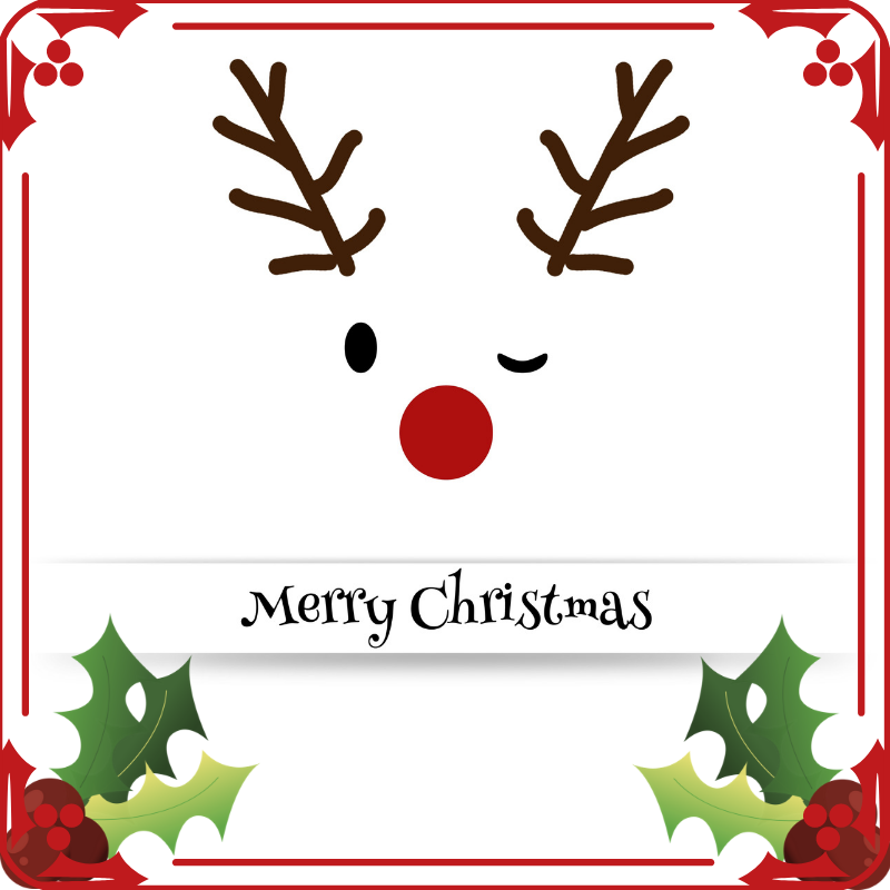 Forensic Training Unlimited Thank You 2018 Merry Christmas
