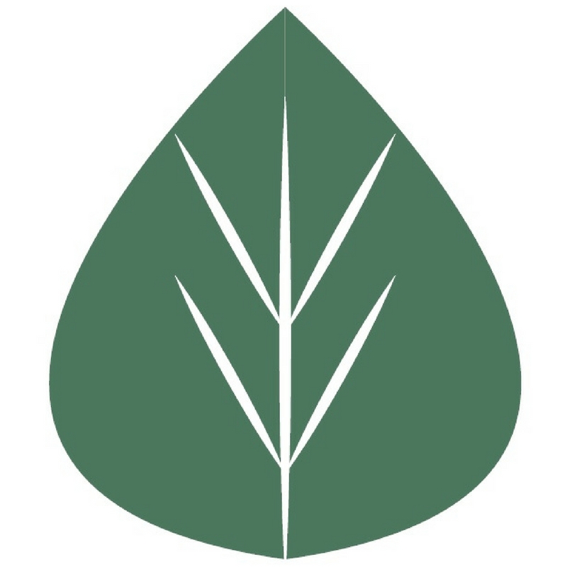 Sugar Land Legacy Foundation logo