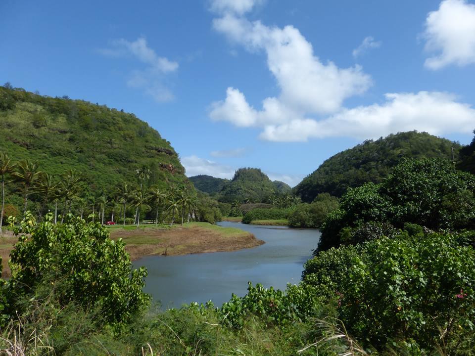 Waimea Valley Annual Summer Concert Series • Single-Day Tickets photo 1
