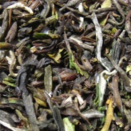 DJ Darjeeling Tea Mim First Flush 2012 (FTGFOP1) from Darjeeling Tea Boutique