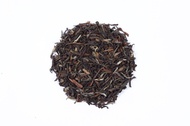 Second Pick Darjeeling  Exotica Tea By  Golden Tips Teas from Golden Tips Teas