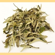 Jing Gu Yang Ta Yunnan Bai Mu Dan White tea * Spring 2015 from Yunnan Sourcing
