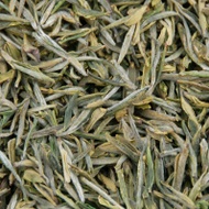 Gu Zhu Zi Sun (Purple Bamboo Shoot) Green Tea from Seven Cups