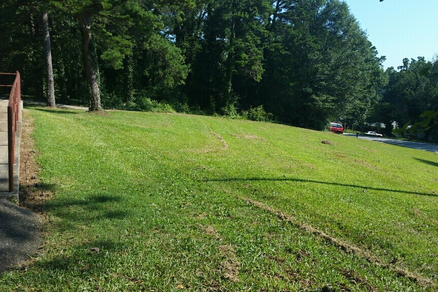 Field 2
