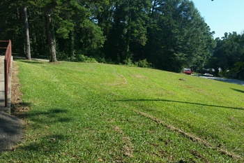 Field 2