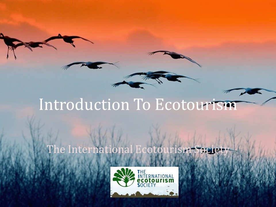 eco tourism organizations