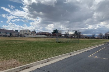 Fields