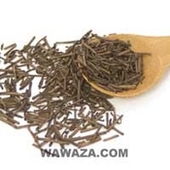 Gourmet Hojicha (Kuki Hojicha) Organic Roasted Green Tea from Wawaza.com