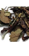 Organic Monkey-Picked White from The Tea Spot