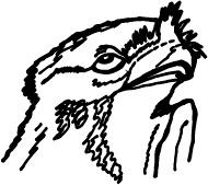 WildDigiCare