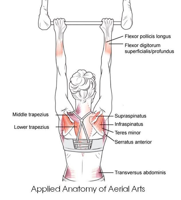 Product image for Aerial Shoulder Boot Camp