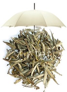 Jasmine Silver Needle from Stir Tea