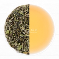 Darjeeling Spring Gold First Flush Black Tea from Vahdam Teas