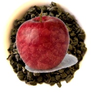 Apple Blue People Oolong from Aroma Tea Shop
