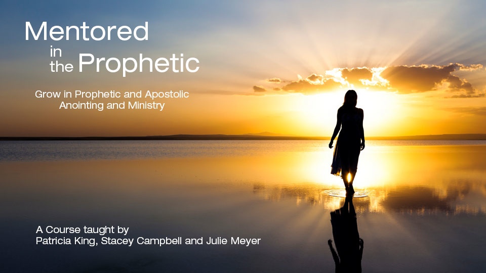 Product image for Mentored in the Prophetic