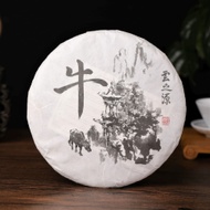 2021 Yunnan Sourcing "At the Foot of the Mountain" Aged Raw Pu-erh Tea Cake from Yunnan Sourcing
