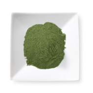 Matcha Green Tea Latte/Frappe Mix from Mighty Leaf Tea