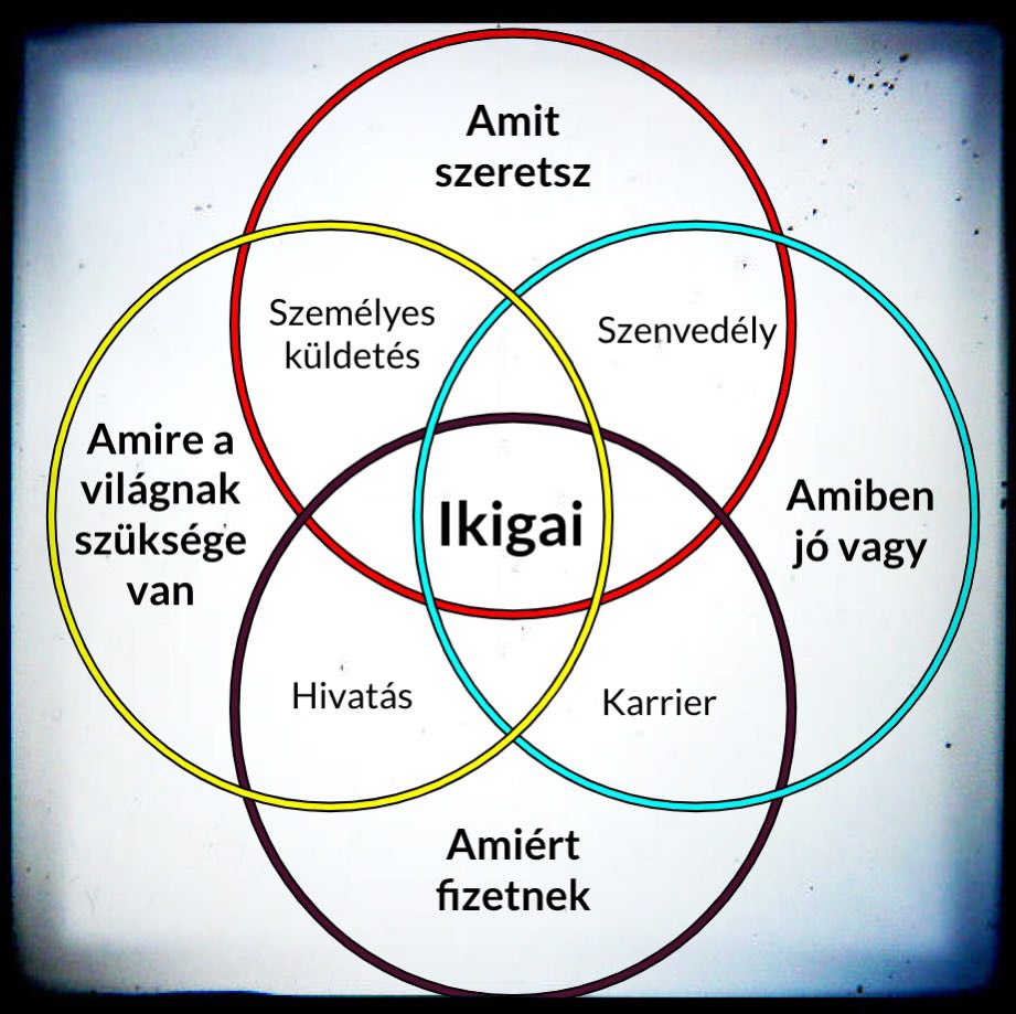 Ikigai