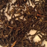 Yunnan Forest from Traveling Tea
