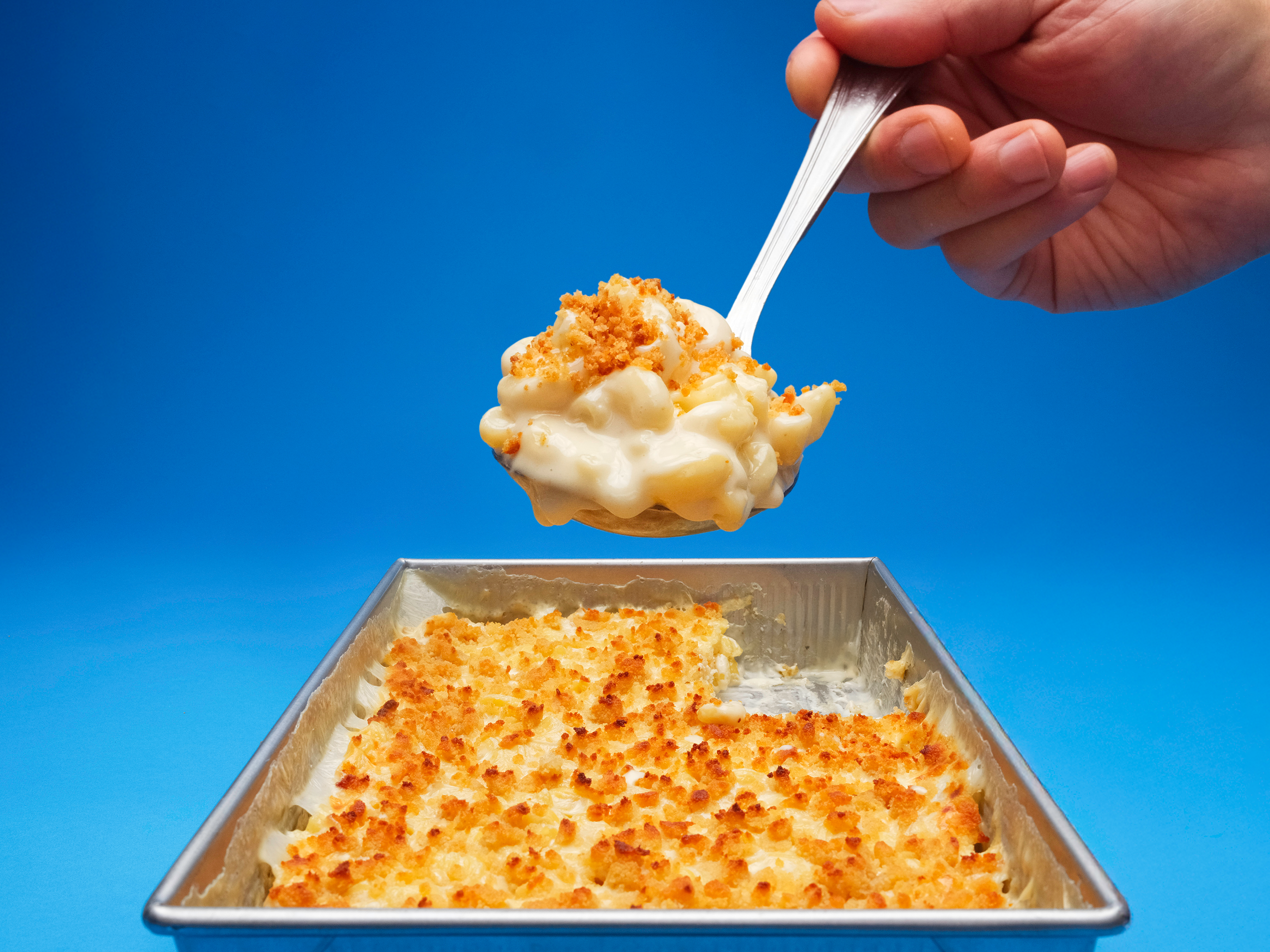 q6smzJ6jT8unNWNFrdYN