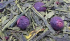 Blackcurrant Custard community photo