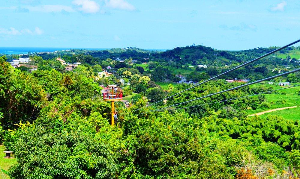 Zipline Canopy Adventure Tour photo 4
